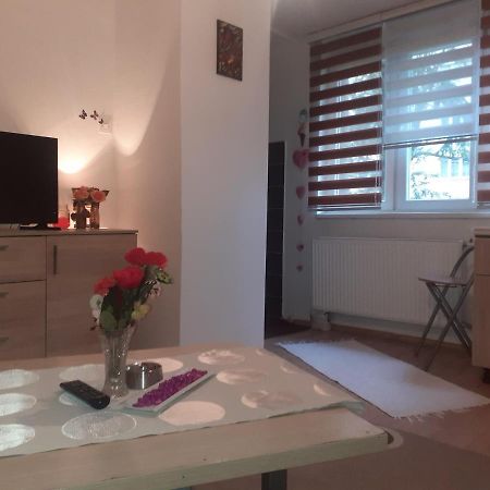 Apartmán Ada Apartman Sarajevo Exteriér fotografie